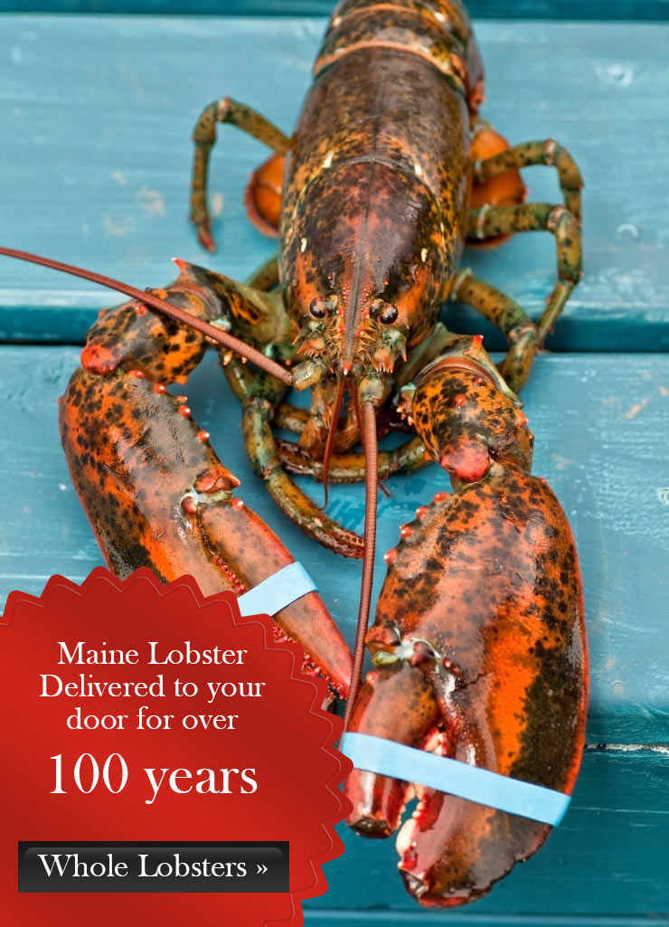 Bayley's lobster and other fine food